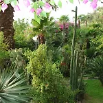Complesso Le Palme 别墅 Forio di Ischia