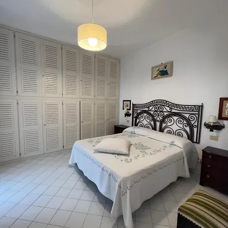 Vila Orchidea *