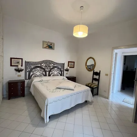 Orchidea Forio di Ischia