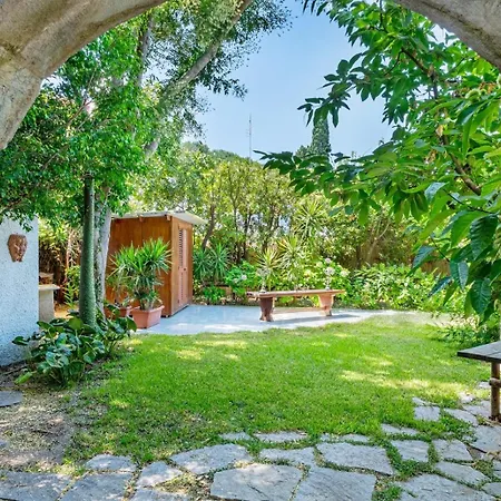Vila Orchidea