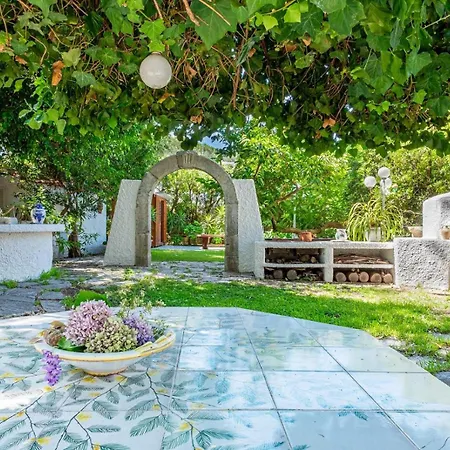 Orchidea Vila Forio di Ischia
