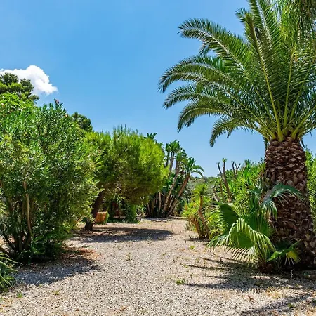 Vila Orchidea Forio di Ischia