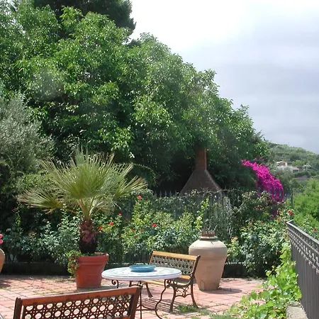 Orchidea Forio di Ischia