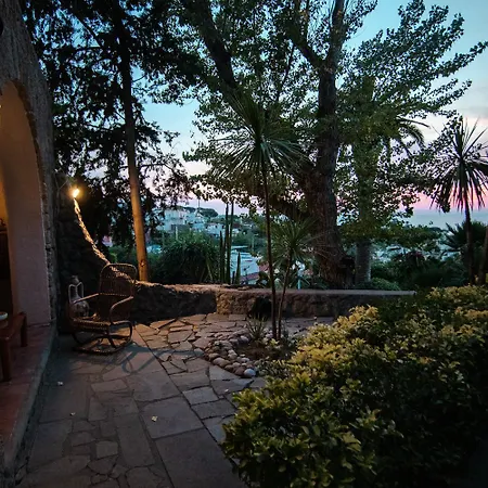 Orchidea Forio di Ischia