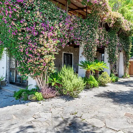 Vila Orchidea