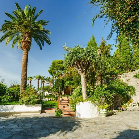 Orchidea * Forio di Ischia