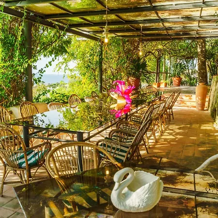 Vila Orchidea Forio di Ischia