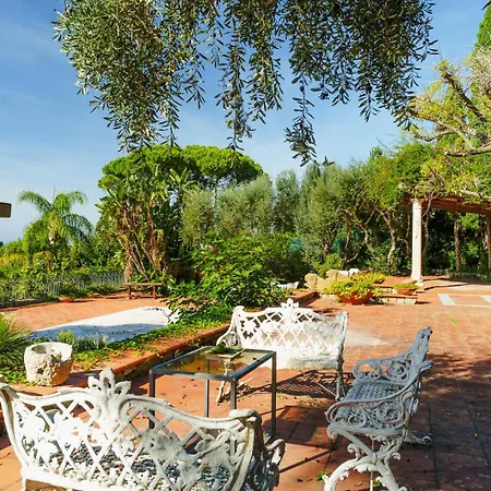 Orchidea Vila Forio di Ischia