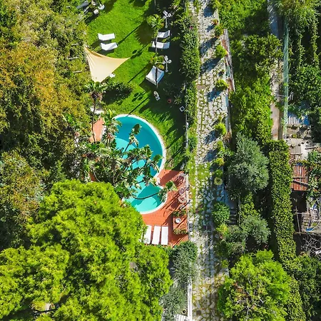 Orchidea Forio di Ischia