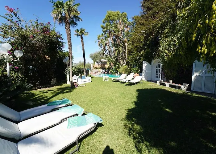 Le Palme Forio di Ischia
