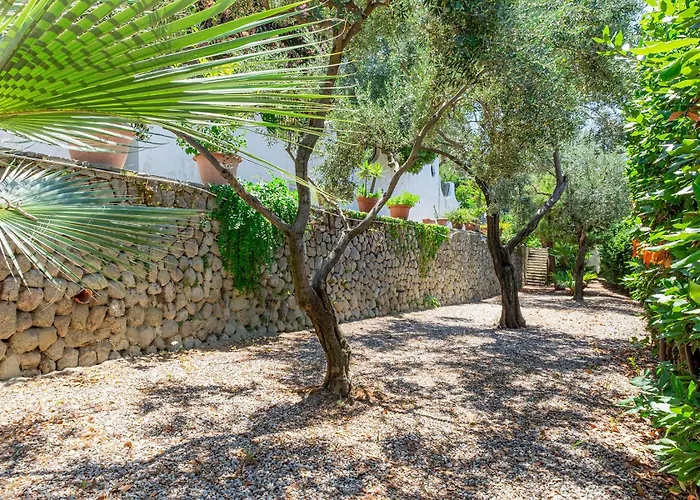 Le Palme Daire