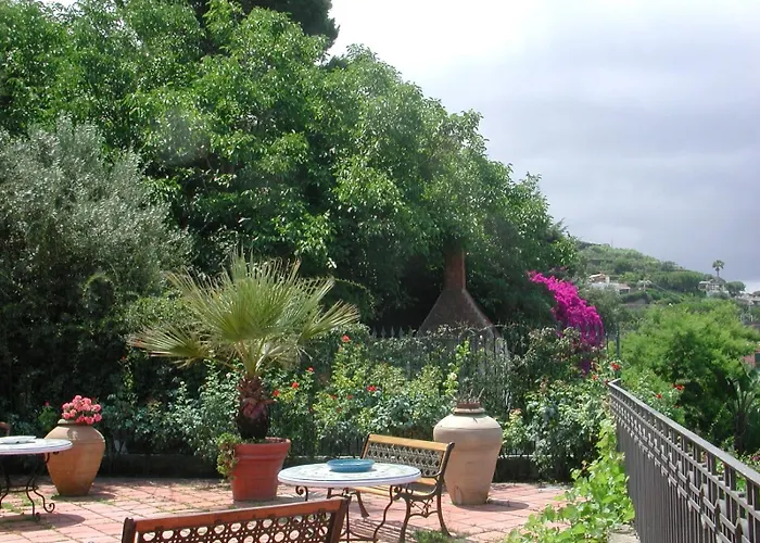 Le Palme Forio di Ischia